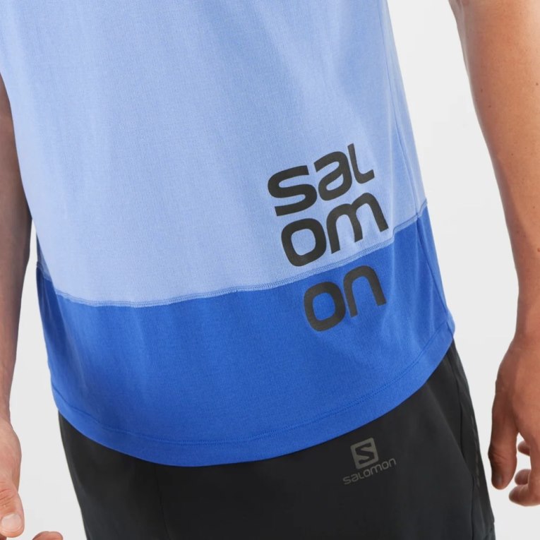 Camiseta Salomon Cross Run Gráficas Curta Sleeve Masculino Azuis | PT L35829